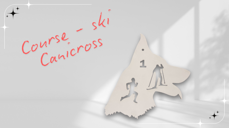 Cani cross ski